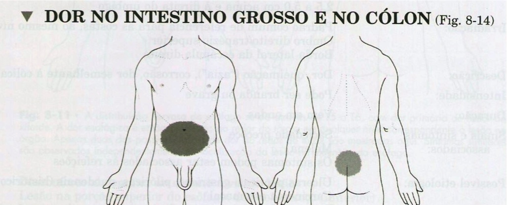 Exemplo de dor referida no intestino. Extraído de: Goodman e Snyder, 2010.